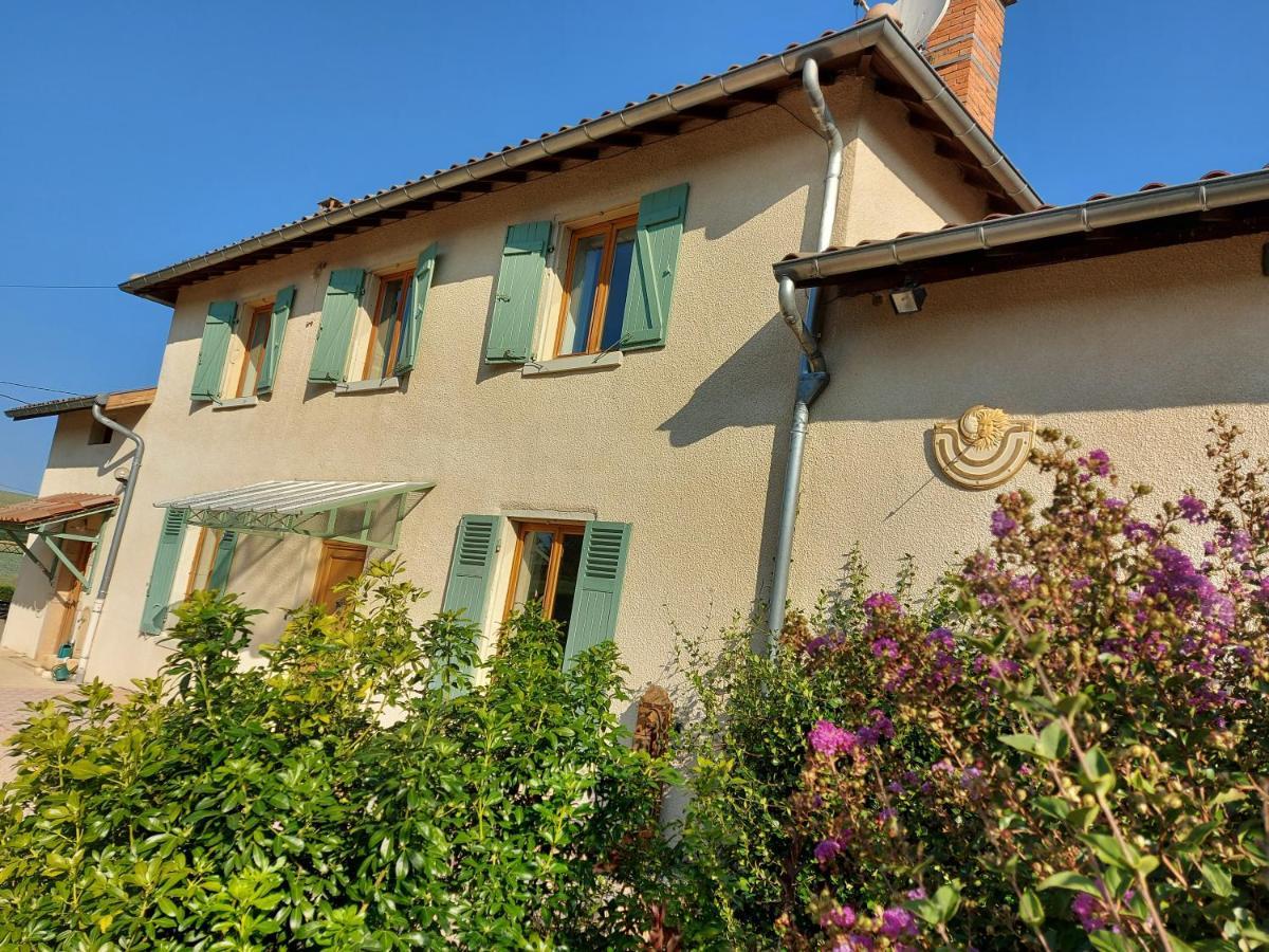 Le Moulin De L'Etang Hotel Chaneins ภายนอก รูปภาพ