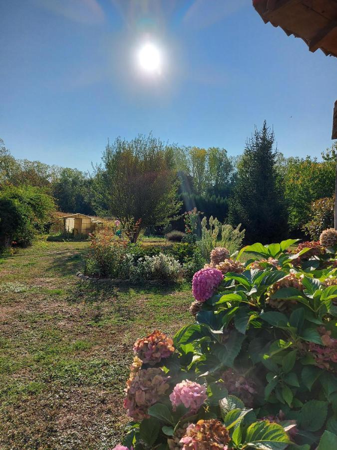Le Moulin De L'Etang Hotel Chaneins ภายนอก รูปภาพ
