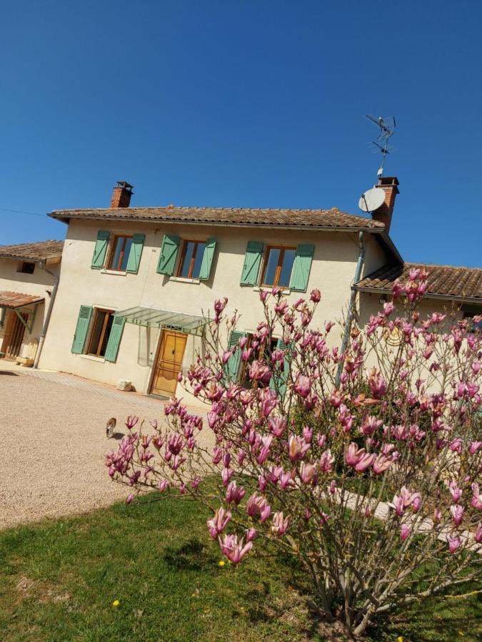 Le Moulin De L'Etang Hotel Chaneins ภายนอก รูปภาพ