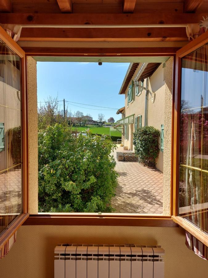Le Moulin De L'Etang Hotel Chaneins ภายนอก รูปภาพ