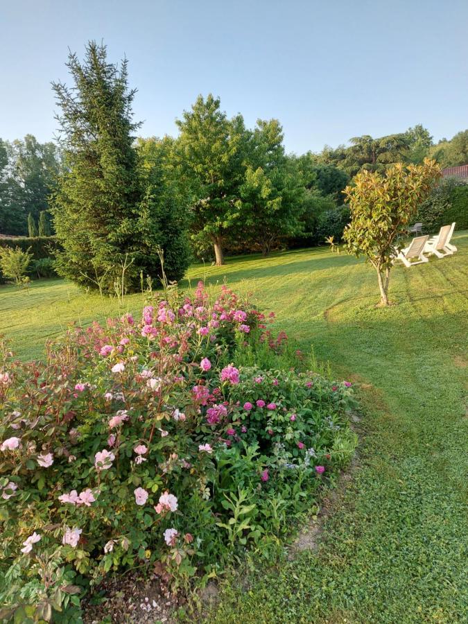 Le Moulin De L'Etang Hotel Chaneins ภายนอก รูปภาพ