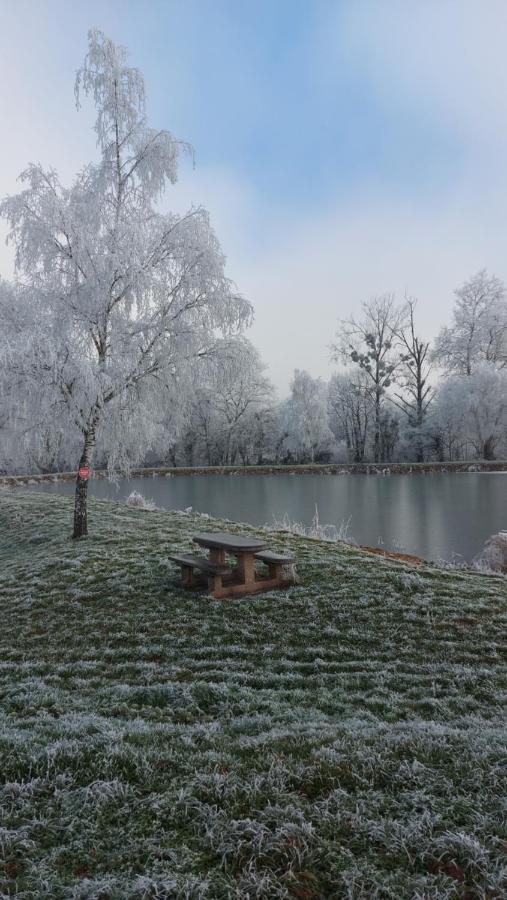 Le Moulin De L'Etang Hotel Chaneins ภายนอก รูปภาพ